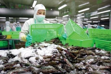 Một môi trường đầu tư, kinh doanh với những chính sách ổn định, an toàn và thuận lợi là rất cần thiết để giúp doanh nghiệp yên tâm hoạt động và phát triển. Ảnh: Lê Tiên