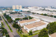 Lãi ròng 9 tháng của NTC giảm 11%