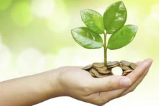 IDC tạm ứng cổ tức năm 2021 tỷ lệ 24%