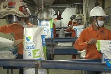 Dây chuyền sản xuất thức ăn chăn nuôi của De Heus