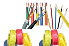 CAV tạm ứng cổ tức đợt 1/2021, tỷ lệ 10%