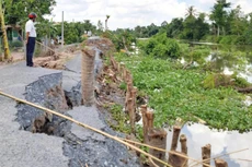 Vùng Đồng bằng sông Cửu Long cần gần 8.200 tỷ đồng để xử lý dứt điểm 76 điểm sạt lở nghiêm trọng ảnh hưởng trực tiếp đến đời sống người dân. Ảnh: Hoàng Trung