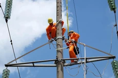 Từ đầu năm 2021 đến nay, Công ty CP Tư vấn đầu tư và Xây lắp điện số Năm trúng khoảng 5 gói thầu ngành điện với tổng giá gần 380 tỷ đồng. Ảnh minh họa: Thế Anh