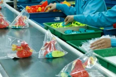 Gói thầu số 04 yêu cầu cung cấp các loại thiết bị như: bàn, ghế học sinh - giáo viên; thiết bị gia dụng, đồ chơi... Ảnh minh họa: Nhã Chi