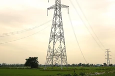 Thiếu mặt bằng sạch là nguyên nhân chủ yếu khiến 2 dự án thành phần thuộc Dự án Đường dây 500kV mạch 3 chưa hoàn thành. Ảnh: Tiên Giang