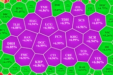 Cổ phiếu nhỏ trong nhóm bất động sản, chứng khoán tăng rực rỡ.