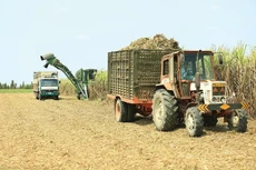 SLS chia cổ tức bằng tiền, tỷ lệ 80%