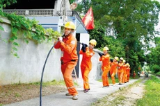 Tính đến năm 2021, Tổng công ty Điện lực miền Bắc đã phát triển lưới điện đến 100% số xã trên địa bàn