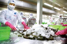 Khoảng 70% doanh nghiệp trong ngành công nghiệp chế biến, chế tạo lạc quan về tình hình kinh doanh cuối năm. Ảnh: Lê Tiên