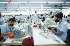 Cần có chiến lược ngắn hạn, trung hạn về việc từng bước mở cửa, linh hoạt chống dịch và phục hồi kinh tế để doanh nghiệp có cơ sở xây dựng kế hoạch hoạt động. Ảnh: Lê Tiên