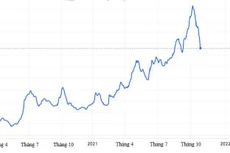 Diễn biến chỉ số BDI đo lường mức phí thuê tàu chở nguyên liệu thô