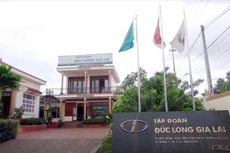 Công ty CP Tập đoàn Đức Long Gia Lai nắm giữ 88% cổ phần Công ty CP Năng lượng Tân Thượng. Ảnh: Tường Lâm