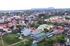 Hủy kết quả đấu thầu gói thầu bị phản ánh tại thị trấn Triệu Sơn (Thanh Hóa)