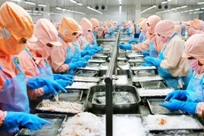 9 tháng 2021, MPC đạt 565,6 tỷ đồng lãi sau thuế