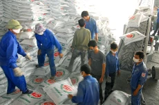 Gói thầu số 2 Mua sắm phân bón lần 2 năm 2021 do Công ty CP Tổng hợp Dương Minh Tây Nguyên mời thầu. Ảnh minh họa: Gia Khoa