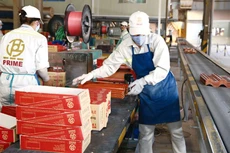 Tại nhiều khu công nghiệp, khu chế xuất, đến thời điểm này đã có trên 90%, thậm chí là 100% số doanh nghiệp quay trở lại hoạt động. Ảnh: Lê Tiên