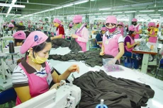 Cần có kế hoạch mở cửa, khôi phục hoạt động sản xuất, kinh doanh phù hợp với tiến độ, độ phủ vắc xin Covid-19. Ảnh: Lê Tiên