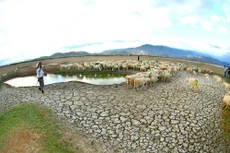 Đến năm 2030, Việt Nam có khả năng đạt được mục tiêu phát triển bền vững về xóa nghèo, xóa đói, giáo dục có chất lượng và các hành động bảo vệ khí hậu… Ảnh: Lê Tiên