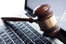 Đấu giá trực tuyến tài sản thế chấp của Công ty TNHH Nam Hồng