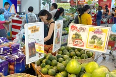 Tại phiên họp Chính phủ chuyên đề xây dựng pháp luật ngày 18/11/2021, Chính phủ thống nhất thông qua một số đề nghị xây dựng luật, trong đó có Luật Giá (sửa đổi). Ảnh: Phú An