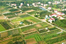 Việc bán đấu giá tài sản, đặc biệt là quyền sử dụng đất, cần có phương án phù hợp, khả thi tạo điều kiện để nhiều người tham gia đấu giá. Ảnh minh họa: Nhã Chi