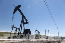 OPEC giảm dự báo nhu cầu dầu mỏ toàn cầu