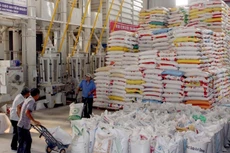 Quy định về quy mô, công suất tối thiểu đối với cơ sở của thương nhân xuất khẩu gạo sẽ không đảm bảo công bằng cho các doanh nghiệp nhỏ và vừa.