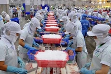 ANV chi hơn 132,1 tỷ đồng trả cổ tức năm 2020