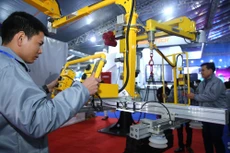 ƯỚC VỌNG DOANH NGHIỆP ĐẦU ĐÀN - Bài 3: Đi tìm cơ chế cho “sếu đầu đàn”