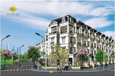 TIG dự kiến phát hành gần 8,3 triệu cổ phiếu trả cổ tức 2019