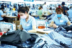 Xuất khẩu - động lực tăng trưởng chính - giảm 1,1% trong nửa
đầu năm 2020. Ảnh: Lê Tiên