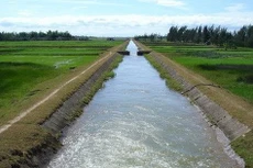 LHC phát hành cổ phiếu thưởng tỷ lệ 100%