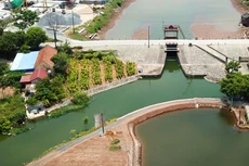 Trong giai đoạn 2016 - 2020, Bộ Nông nghiệp và Phát triển nông thôn có tổng số 40 dự án sử dụng vốn ODA. Ảnh: Hữu Thắng