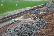 Công ty CP Đầu tư và Xây lắp Thái Bình Dương không được đấu
thầu các gói thầu thuộc các dự án, dự toán trong phạm vi quản lý của UBND huyện
Chương Mỹ (Hà Nội) trong 5 năm. Ảnh: Nhã Chi