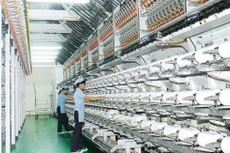 Sợi Thế Kỷ chi hơn trăm tỷ trả cổ tức 2019