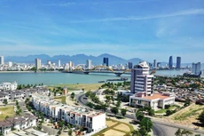Nhà Đà Nẵng chia 30% cổ phiếu cho cổ đông