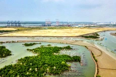 Mới đây, UBND tỉnh Bà Rịa - Vũng Tàu trình Thủ tướng Chính phủ xem xét chấp thuận chủ trương chỉ định nhà đầu tư khai thác Cảng tổng hợp và container Cái Mép Hạ. Ảnh: Song Lê