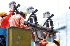 Dự án Cấp điện nông thôn từ lưới điện quốc gia tỉnh Quảng Trị,
giai đoạn 2014 - 2020 có tổng mức đầu tư là 148 tỷ đồng. Ảnh: Lê Tiên