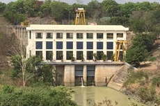 DRL tạm ứng cổ tức đợt 2/2020, tỷ lệ 15%