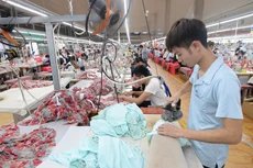 Quý II/2020, May Sông Hồng đạt 122 tỷ đồng lãi sau thuế 