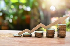 Viglacera chi gần 500 tỷ đồng để trả cổ tức năm 2019