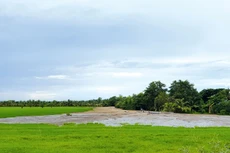 Khẩn trương san lấp mặt bằng để đẩy nhanh tiến độ thực hiện Dự án Đầu tư xây dựng hạ tầng Khu công nghiệp Tân Kiều