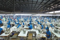 6 tháng đầu năm, TNG báo lãi giảm 29% do Covid-19