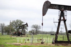 Một trạm bơm dầu ở Luling, bang Texas, Mỹ. Ảnh: THX/TTXVN