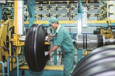 Cao su Đà Nẵng trả cổ tức còn lại năm 2019 tỷ lệ 10%