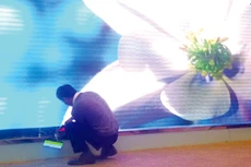 Tại Gói thầu số 01 Cung cấp và lắp đặt màn hình Led hội trường lớn do Cục Thuế tỉnh Nghệ An mời thầu, có 3 nhà thầu nộp HSDT trong đó 2 nhà thầu bị xác định có gian lận. Ảnh: LTT