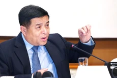 Tự hào hai tiếng “Việt Nam”