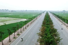 Trong số 48 dự án đầu tư có sử dụng đất được phê duyệt kế hoạch lựa chọn nhà đầu tư sau 20/4/2020, có 12 dự án được đấu thầu rộng rãi, 36 dự án áp dụng hình thức chỉ định thầu. Ảnh: Nhã Chi