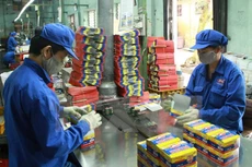 Pin Hà Nội tạm ứng cổ tức tiền mặt tỷ lệ 15%