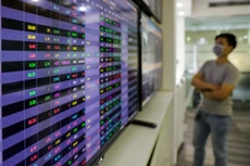 DGC được chấp thuận niêm yết trên HoSE